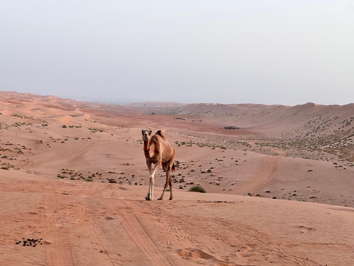 Thousand Stars Desert Camp Badīyah Dış mekan fotoğraf
